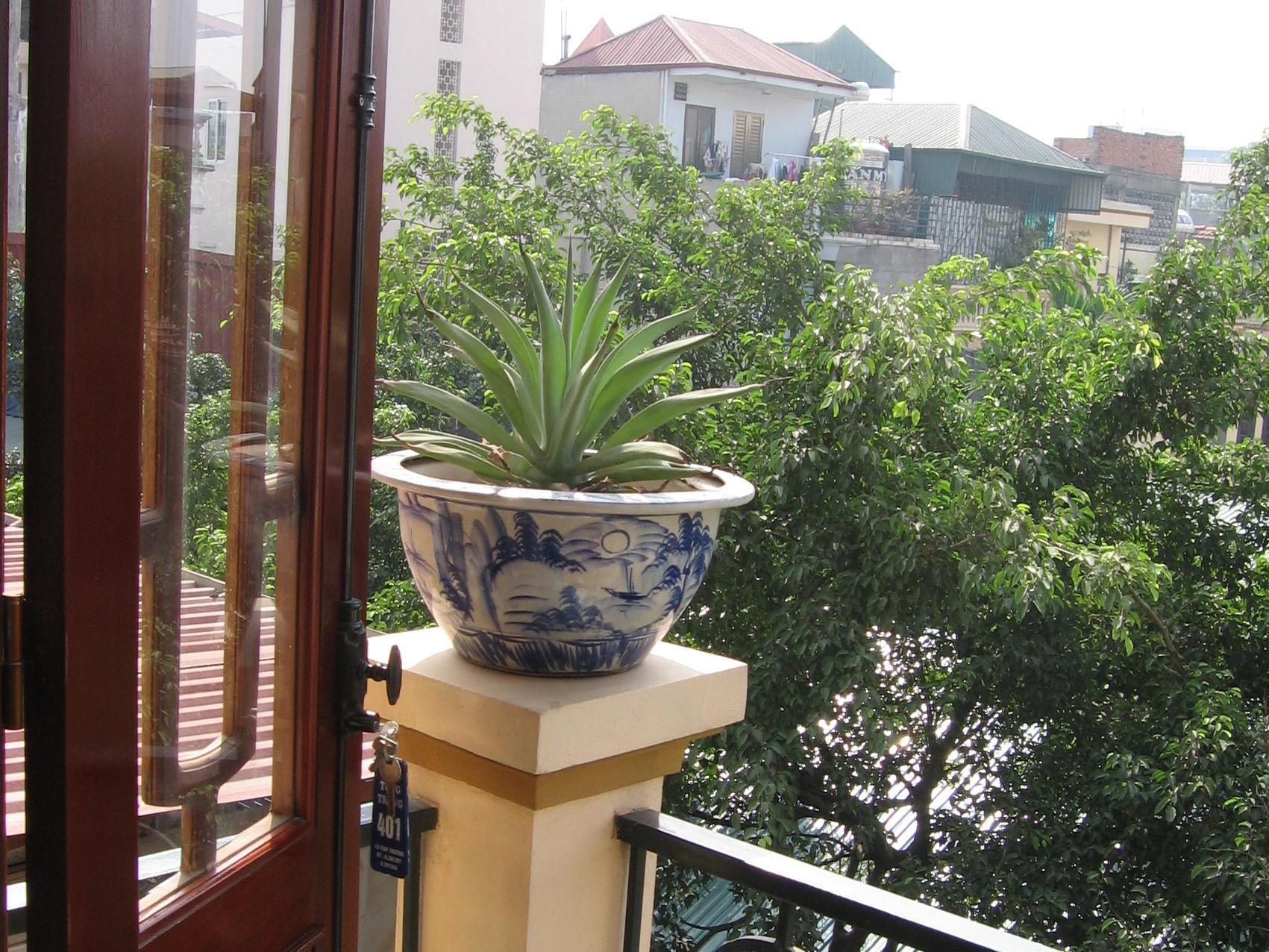 Tung Trang Hotel Hanoi Exterior foto